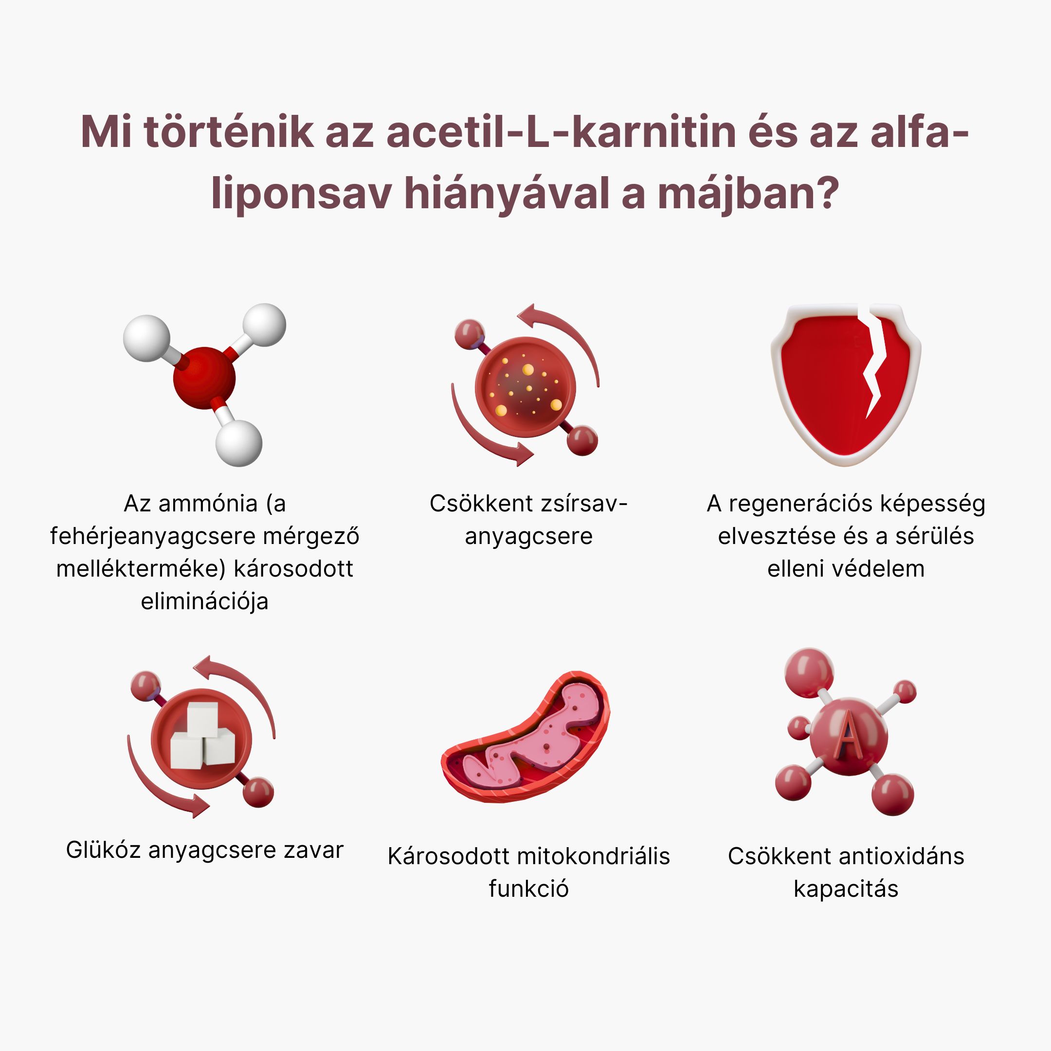 (Maďarština) nedostatku Acetyl L-karnitinu  a kyseliny alfa-lipoové